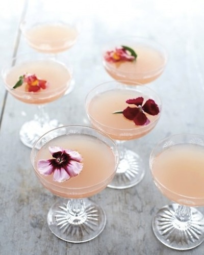lillet rose spring cocktail